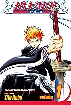 Bleach, Vol. 1